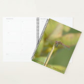 Agenda à reliure spirale avec photo de libellule (Devant avec enveloppe)