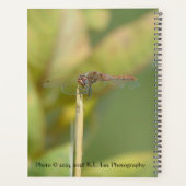 Agenda à reliure spirale avec photo de libellule (Dos)