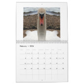 Agenda-aanbieding Kalender (Feb 2026)