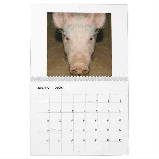 Agenda-aanbieding Kalender (Jan 2026)