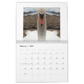 Agenda-aanbieding Kalender (Feb 2027)