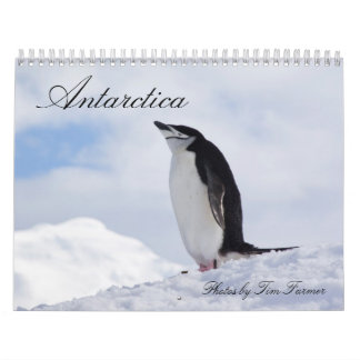 Agenda Antarctica Penguins Kalender
