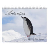 Agenda Antarctica Penguins Kalender (Hoes)