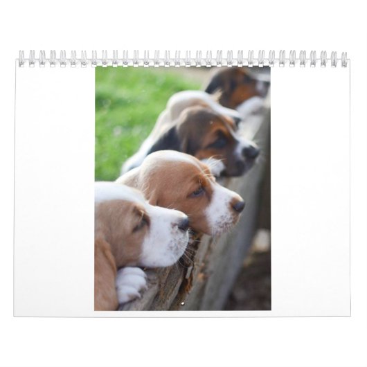 agenda Basset hound Kalender (Hoes)