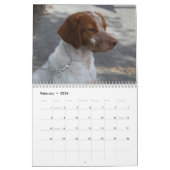 Agenda Brittany 2008 Kalender (Feb 2026)