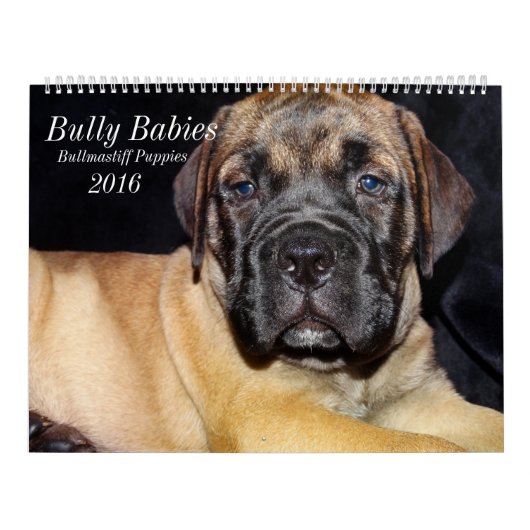 Agenda Bullmastiff 2016 Kalender (Hoes)