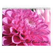 Agenda Dahlias 2011 Kalender (Hoes)