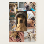 Agenda des chiots (Dos)