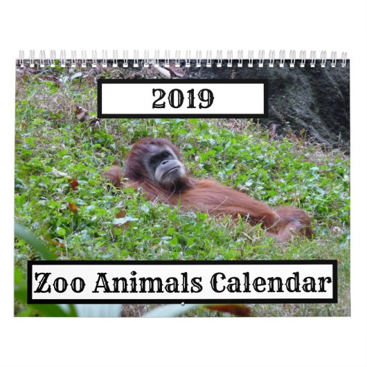 Agenda dierentuin 2019 kalender (Hoes)