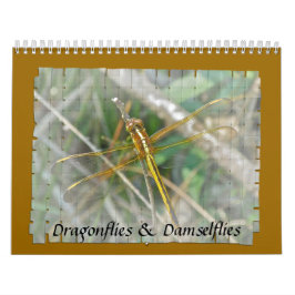 Agenda - Dragonflies & Damselflies Kalender