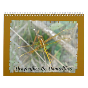 Agenda - Dragonflies & Damselflies Kalender