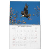 Agenda Eagle Family Kalender (Mar 2027)