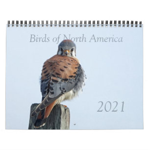 Agenda - Foto's van Noord-Amerikaanse vogels Kalender