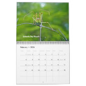 Agenda - Geen respect voor bugs Kalender (Feb 2026)