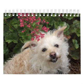 Agenda Gwendolyn 2015 Kalender