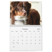 Agenda honden 2011 kalender (Feb 2027)