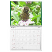Agenda - Insecten Kalender (Mar 2026)