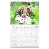 Agenda - Insects vol.2 Kalender (Mar 2026)
