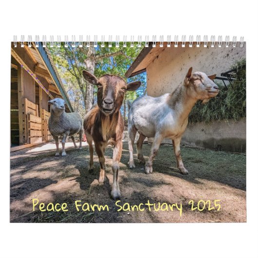 Agenda Kalender (Hoes)