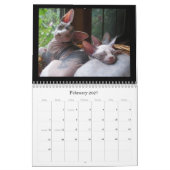 Agenda Kalender (Feb 2027)