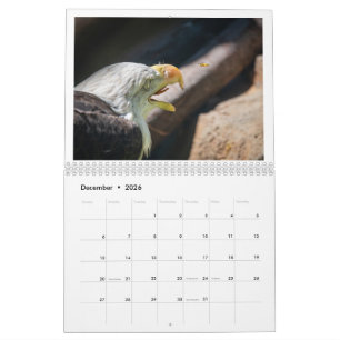 Agenda Kalender