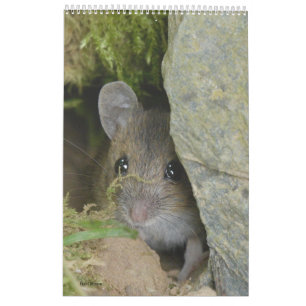 Agenda Kalender