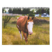 Agenda Kalender (Hoes)