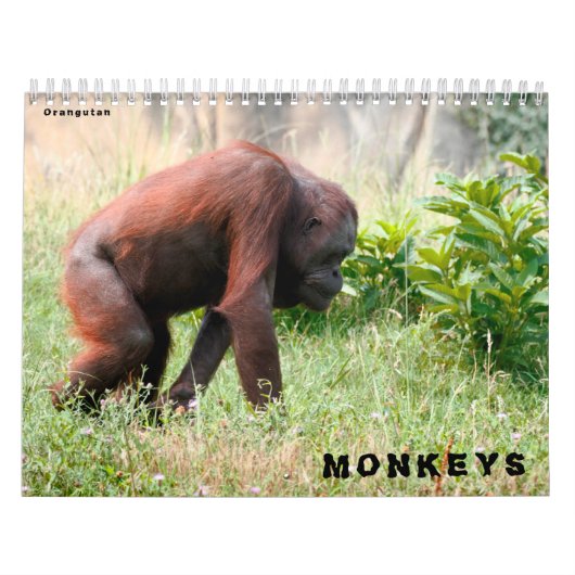 Agenda Kalender (Hoes)