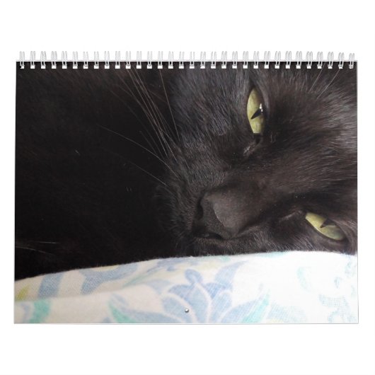 Agenda Kalender (Hoes)