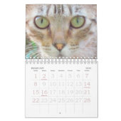 Agenda - Katten Kalender (Feb 2026)