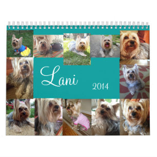 Agenda Lanis 2014 Kalender