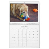 Agenda mack & Friends 2012 Kalender (Mar 2027)