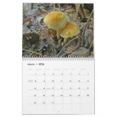 Agenda - Meer prachtige paddenstoelen Kalender (Mar 2026)