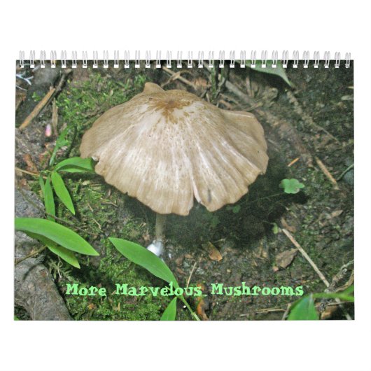 Agenda - Meer prachtige paddenstoelen Kalender (Hoes)