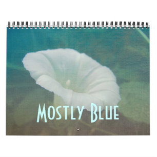 Agenda - Meestal blauw Kalender