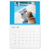 Agenda met afbeeldingen kalender (Mar 2026)