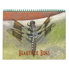 Agenda - Mooie bugs Kalender