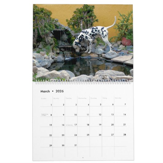 Agenda Mose en Ty 2019 Kalender (Mar 2026)