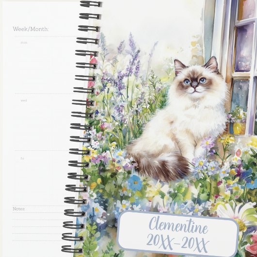 Agenda non daté de rendez-vous pour chat Ragdoll