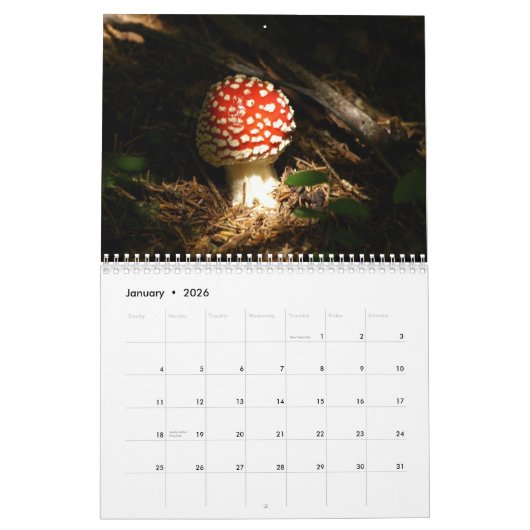 Agenda paddenstoelen kalender (Jan 2026)