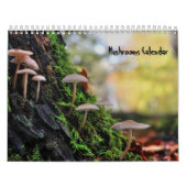 Agenda paddenstoelen kalender (Hoes)