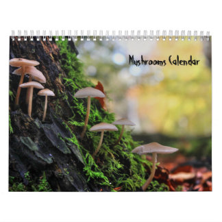 Agenda paddenstoelen kalender