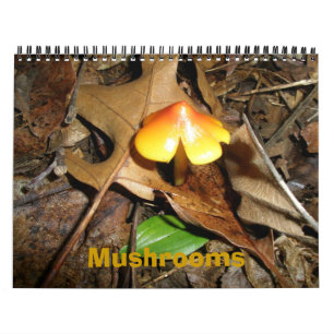 Agenda-paddenstoelen Kalender