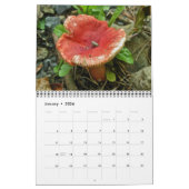Agenda-paddenstoelen Kalender (Jan 2026)