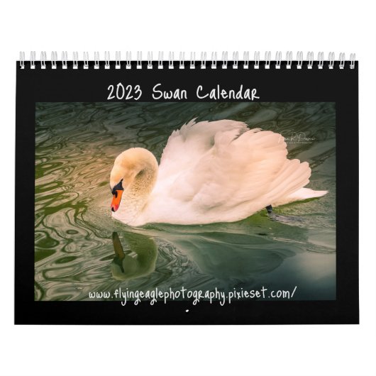 Agenda Swan 2023 Kalender (Hoes)