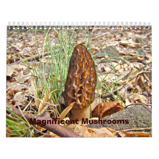 Agenda - Uitstekende paddenstoelen Kalender (Hoes)