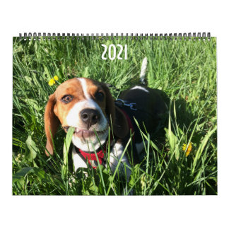 Agenda van Beagle 2021 Kalender