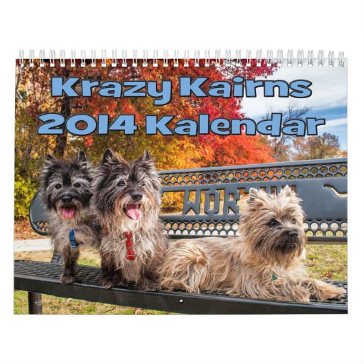 Agenda van Caïro 2014 Kalender (Hoes)