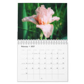 Agenda van Irises 2017 Kalender (Feb 2027)
