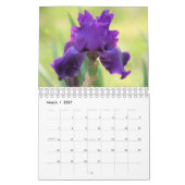 Agenda van Irises 2017 Kalender (Mar 2027)